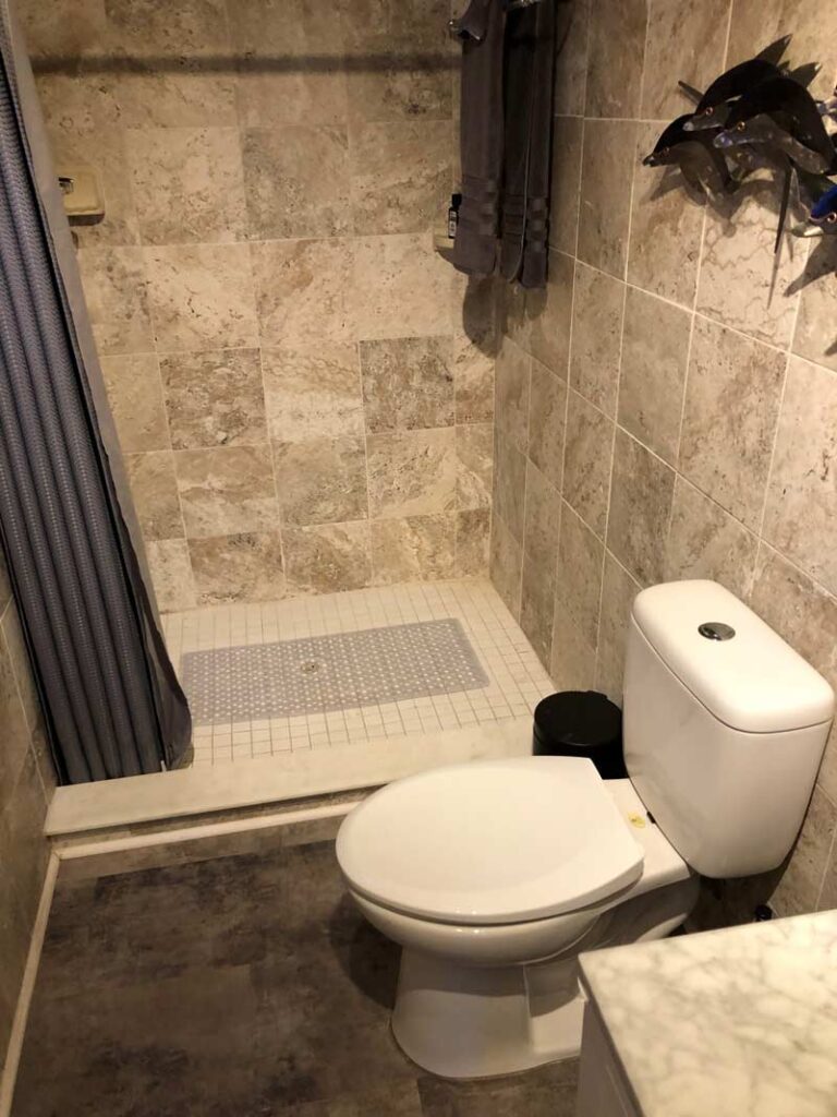Toilet and standup shower