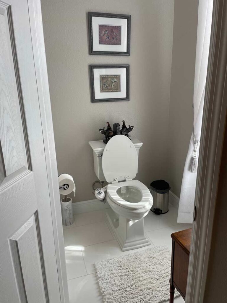 Toilet with bidet seat